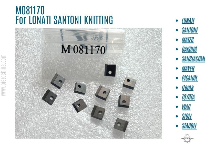 M081170 For LONATI SANTONI REPLACEMENT PARTS